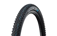 Покрышка 29x2.1 Schwalbe Racing Ray Folding Evolution Black